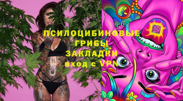прущие крисы Краснотурьинск