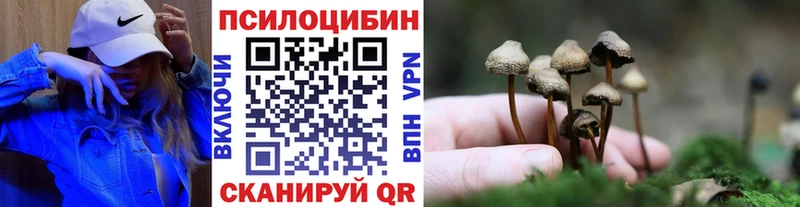 ОМГ ОМГ как войти  Новоульяновск  Псилоцибиновые грибы мицелий 